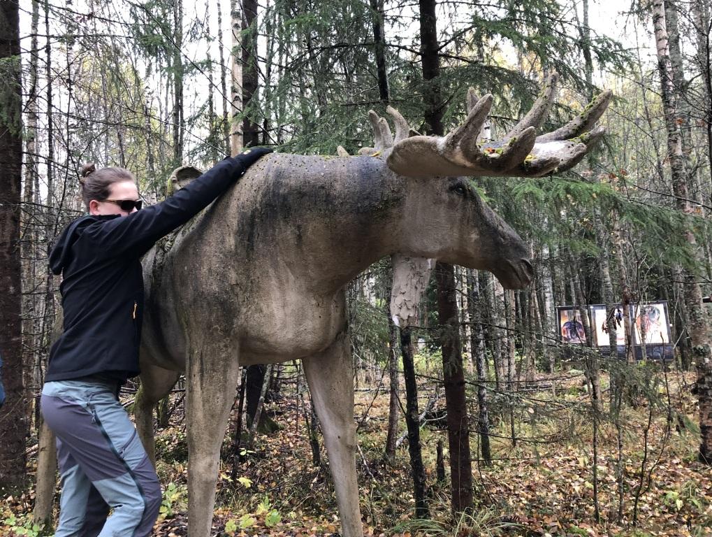 Stor og livaktig elg-skulptur