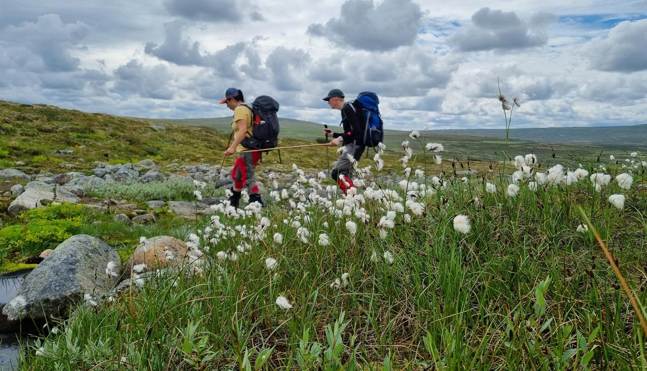 En gjeng som går i fjellet