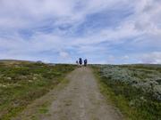 Trykk for å vise stort bilde