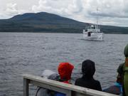 Trykk for å vise stort bilde