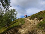 Trykk for å vise stort bilde