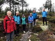 Trykk for å vise stort bilde