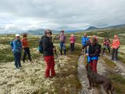 Samling på fjellstien med flott lav i terrenget rundt