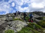 Trykk for å vise stort bilde