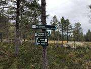 Trykk for å vise stort bilde