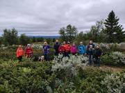 På vei til Lauvåsen.