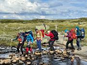 Steingåing av vått parti 1: Kjersti og Lars, Knut og Jørund, Stephi  og Ulf.