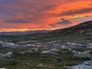 Solnedgang 2: Himmelen er i fyr og flamme, og elva ser ut som flytende lava.